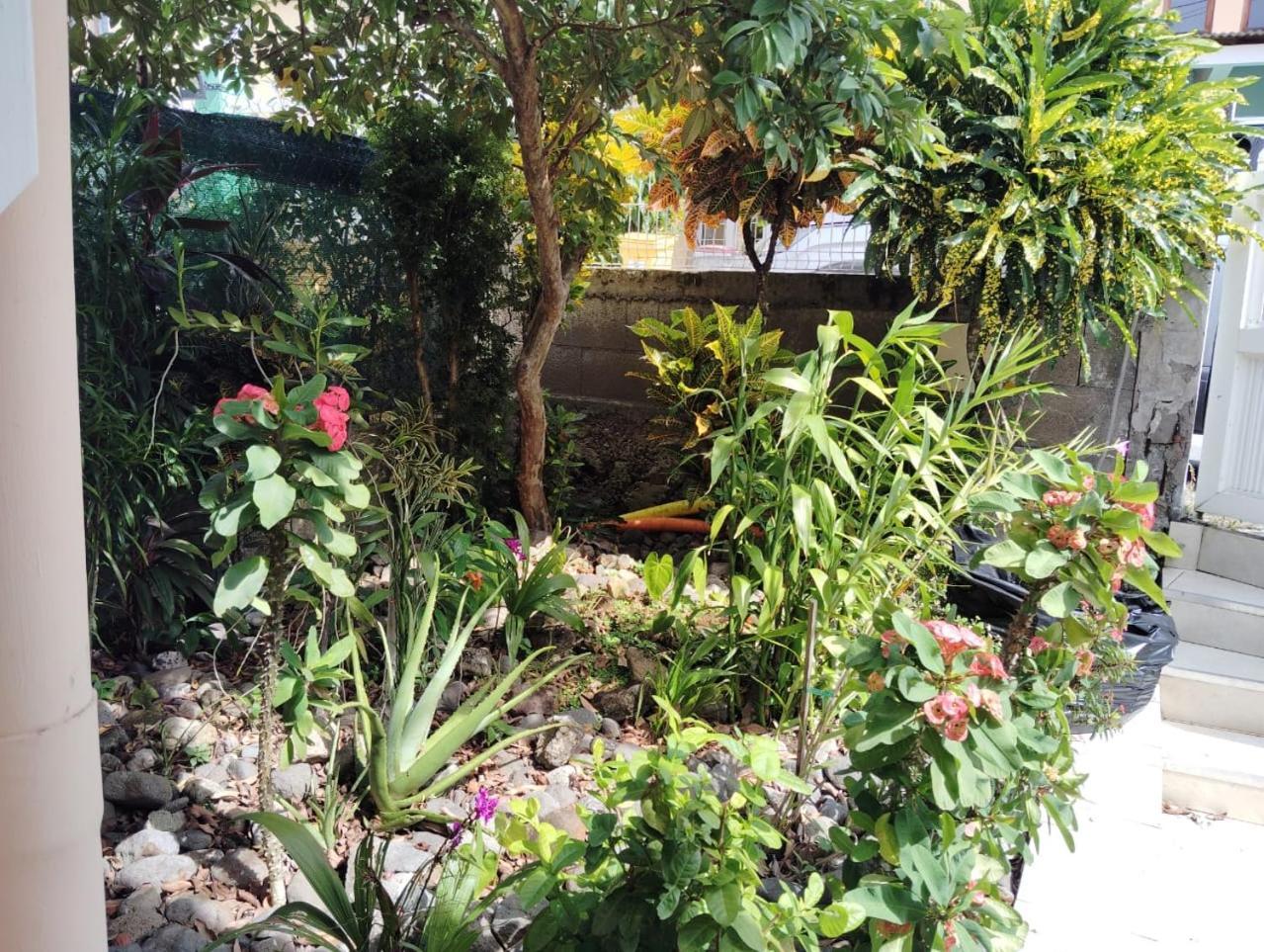 La Belle Martinique Villa Sainte-Luce Eksteriør bilde